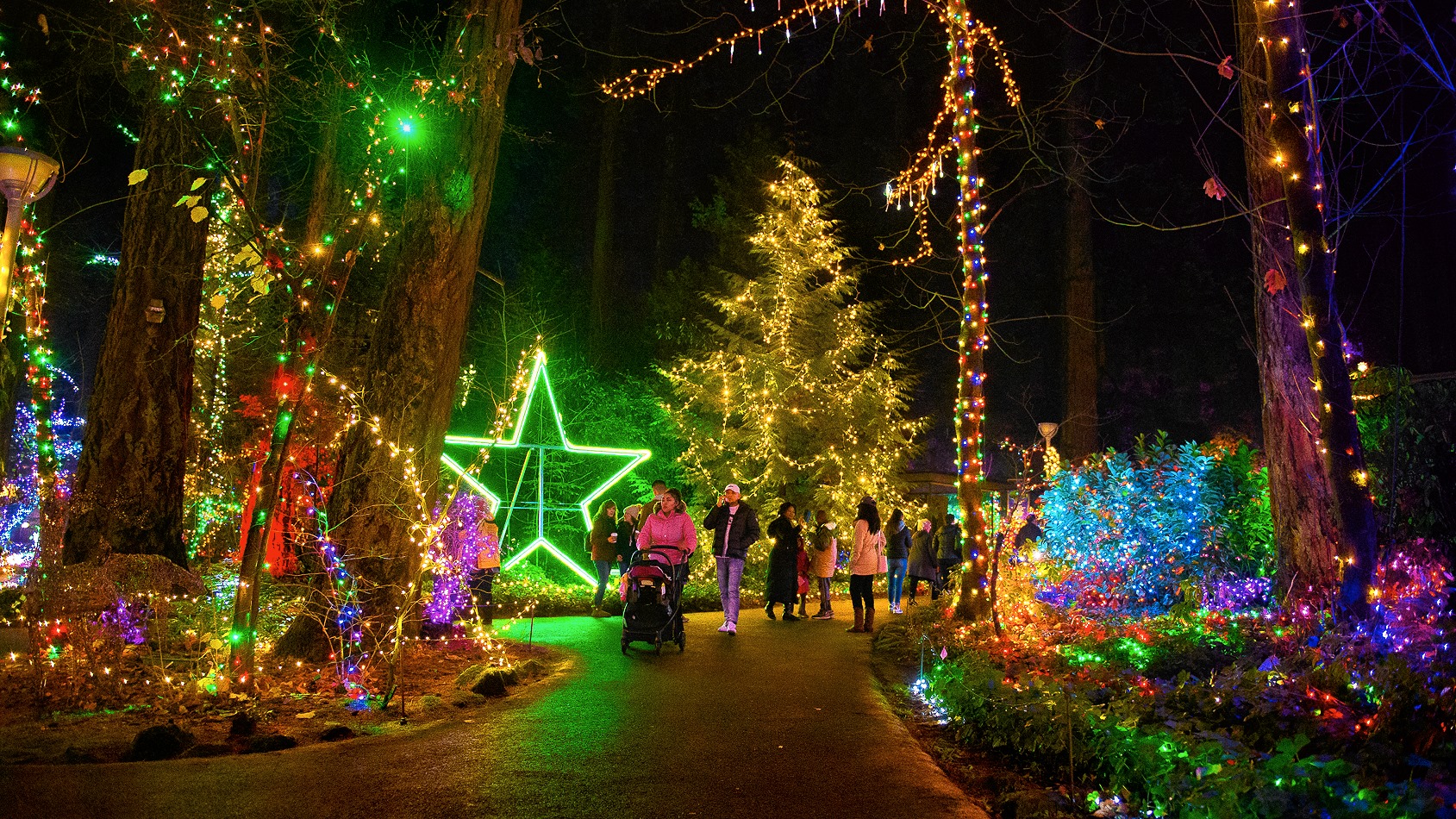 The Grotto Christmas Festival of Lights – Events