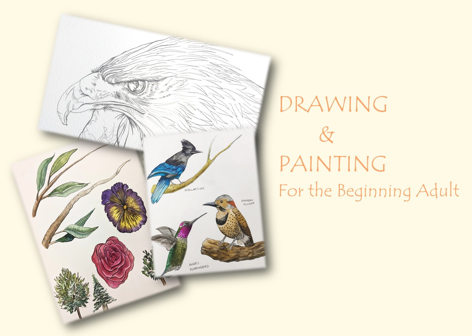 Drawing and Painting for the Adult Beginner