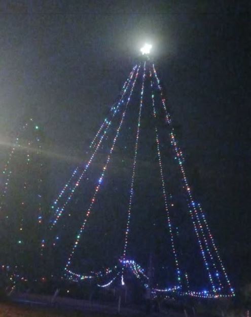 yacolt christmas tree